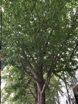 知春路59号院实景图