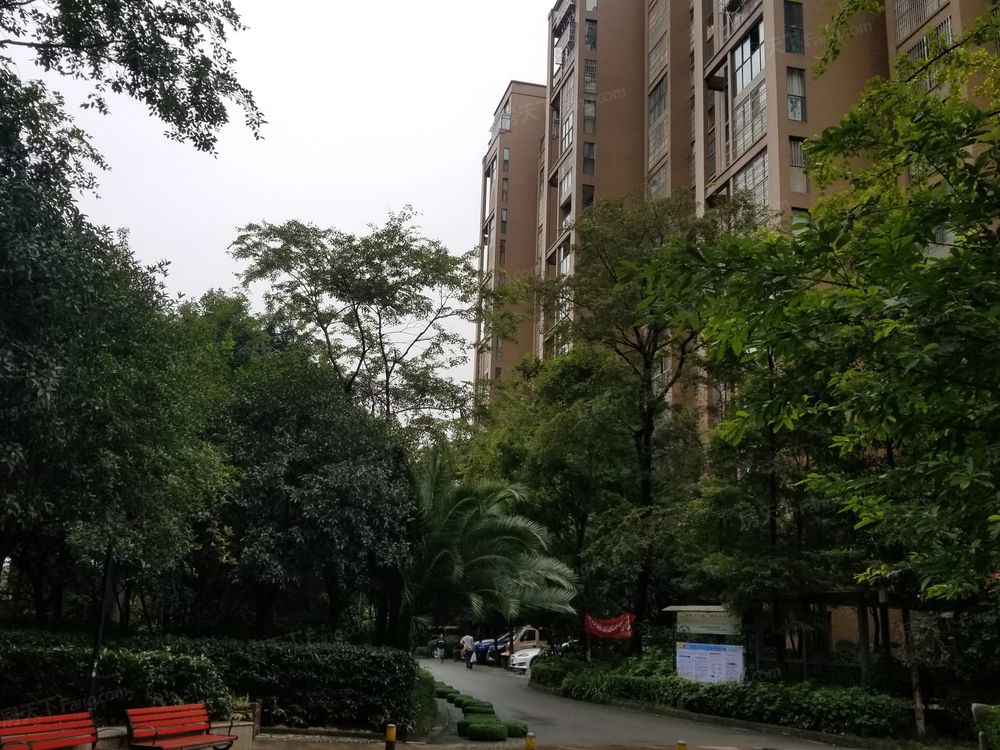 小区相关图