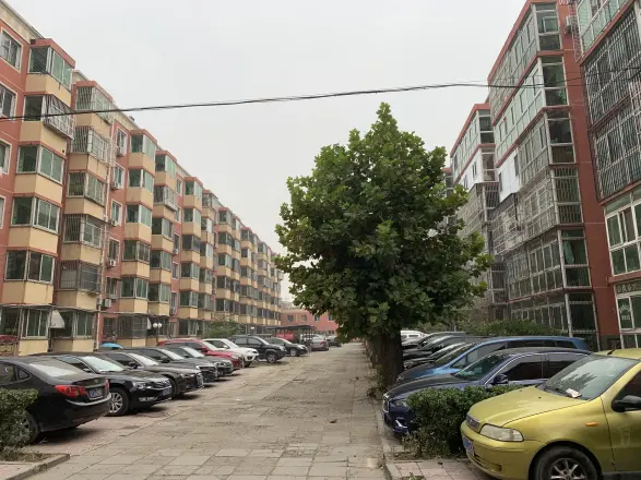 九洲兴达家园实景图