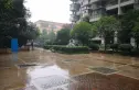 宝泰家园实景图
