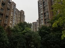 丰怡阳光2室1厅西南