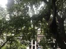 七星岗 华一坡片区二房