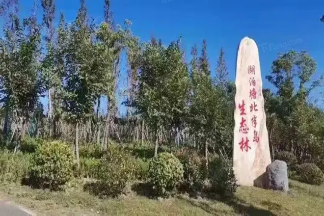 荷塘月色实景图