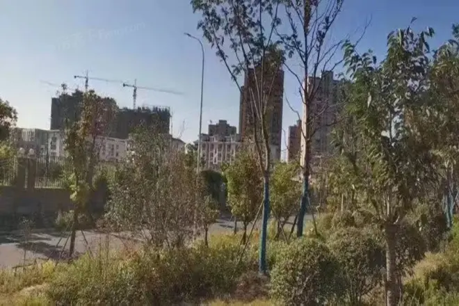 荷塘月色实景图