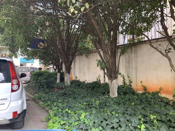宝海高级公寓实景图