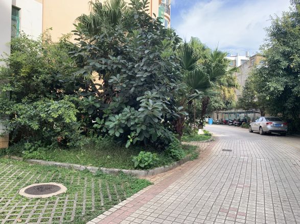 宝海高级公寓实景图