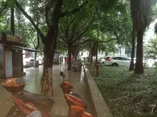 大西洋国际 1室0厅 东