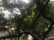 七星岗 华一坡片区三房