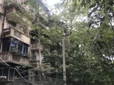 交农村 2室2厅 东南