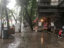 解放西路 3室1厅 东南