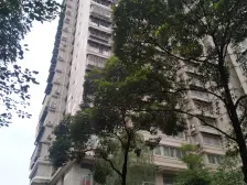 理工大学里面 五朵金花 红梅花儿开 朵朵放光彩