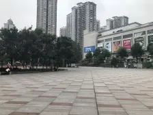 杨家坪 广厦经典三房190万