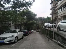 杨家坪工学院家属区 五朵金花 6年影响一生