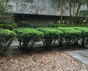 电梯高层,采光视野好,业主自主保养好