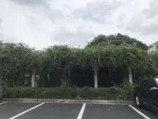 精装修保养好 近地铁,出行方便,全明户型