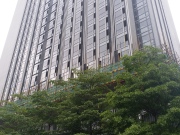 广州城投·保利金沙大都汇(商用)