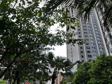 金府国际4室1厅东