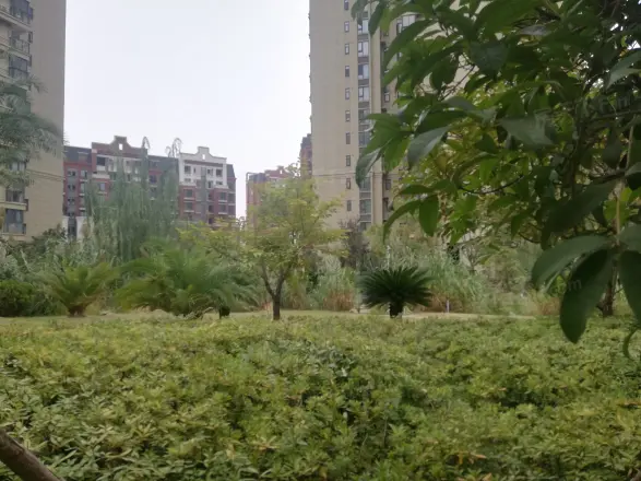 联投金色港湾剑桥郡实景图