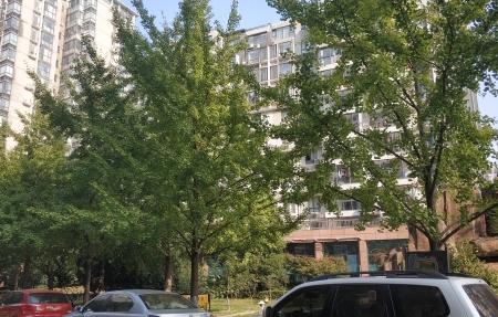 房源图片