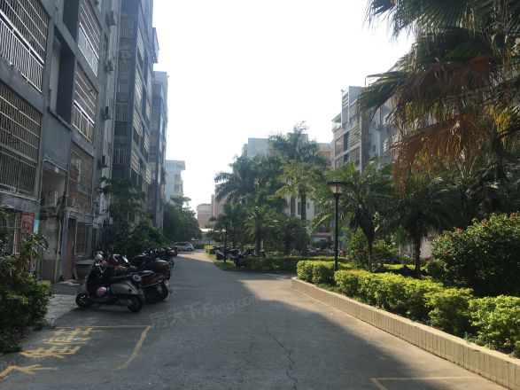 望阳小区实景图