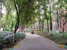 天府名居4室1厅西南