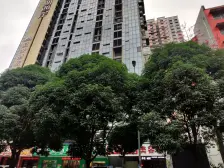 户型方正 采光好 满五年不是唯一的