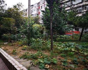 烟厂宿舍朝南两居室,中间楼层,产权清晰