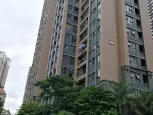 全国百强天桃,小区环境优雅,绿化高,物业贴心