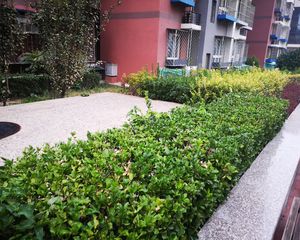 管庄新村1号院2室1厅南