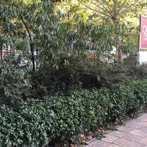  ���⡤ԣ������3��1�� 