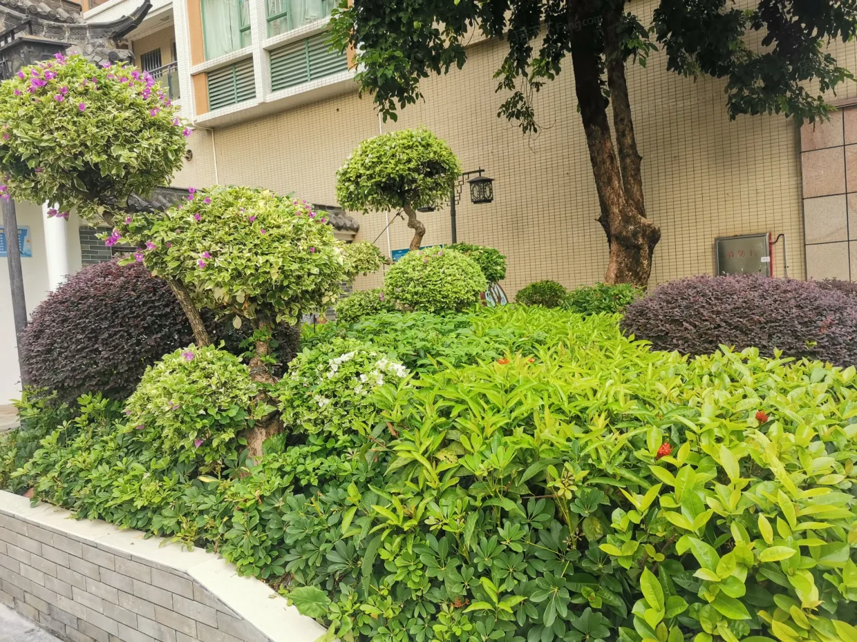 【中山岭南印象小区,二手房,租房】- 中山房天下