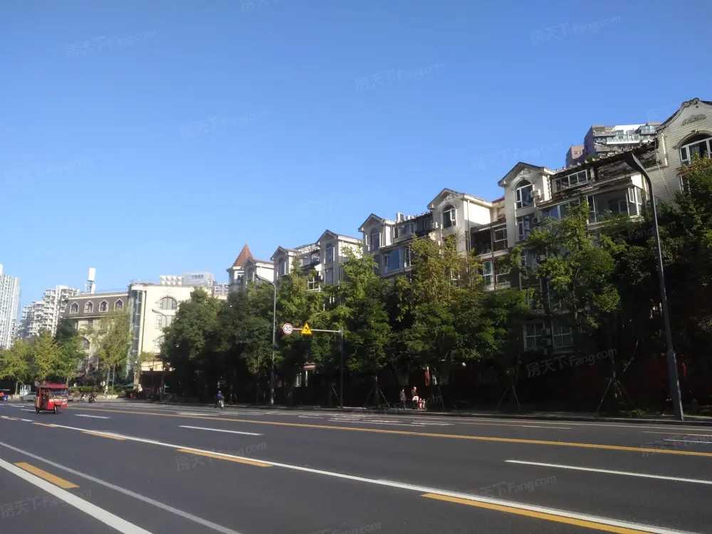 实景图