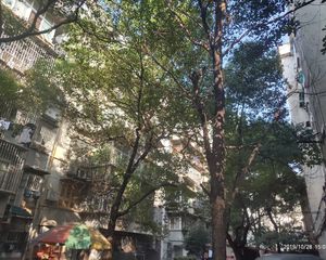 天润花园 4室2厅 南 北