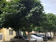 北湖商圈鑫利华花城精装小户型出售