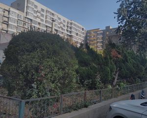 顺四条37号院2室1厅西南