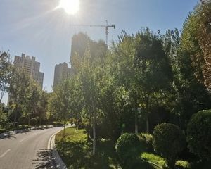 合美帝宝壹號2室2厅南