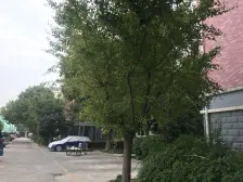 富林苑(二期) 1室1厅 南