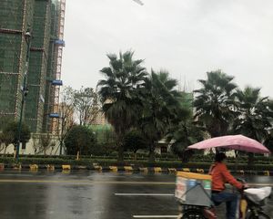 雅居乐星徽城3室2厅西南
