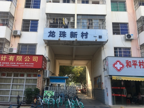 龙珠新村