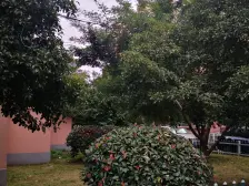 近虹桥,南北通透正三房,一梯二房,钻石楼层采光好