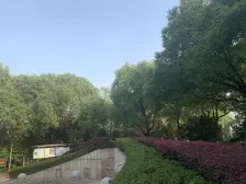 君临天下(别墅) 4室2厅 南