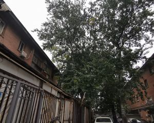东大桥,芳草地,,封闭小区400㎡花园,一层,出行方便,通风