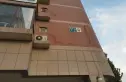 香榭舍实景图