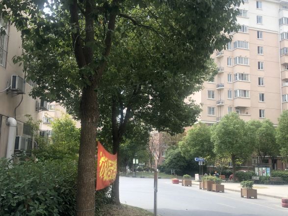 永康城馨宁佳苑实景图