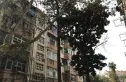 大桥新村实景图