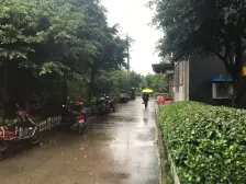 双轻轨站旁 近万达出行方便居家舒适两居室