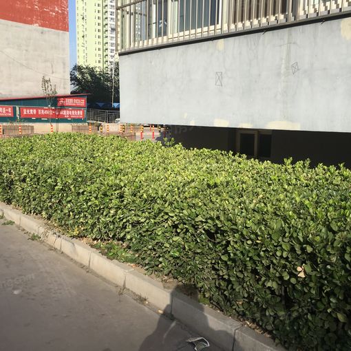  ���⡤Ӻ�ͼ�Է 2��2�� ��/�� 