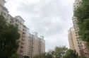 永康城馨宁佳苑实景图