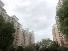 满五年,税费低,全明通透格局,楼层好,视野宽阔