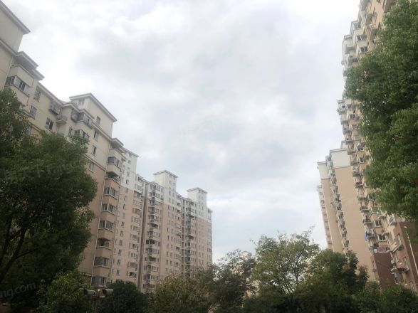 永康城馨宁佳苑实景图